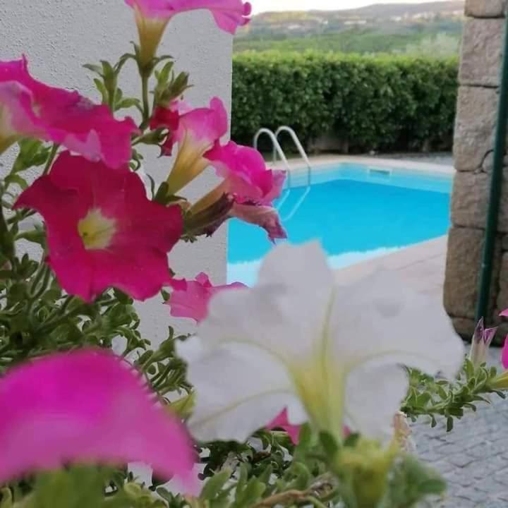 Parada de Pinhão Casa Do Adro De Parada מראה חיצוני תמונה